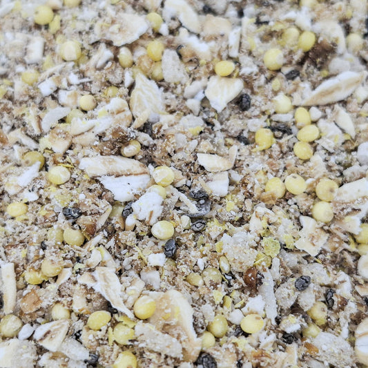 Hermit Crab Food COMPLETE with  Mealworms, Oyster Shells, Forage.