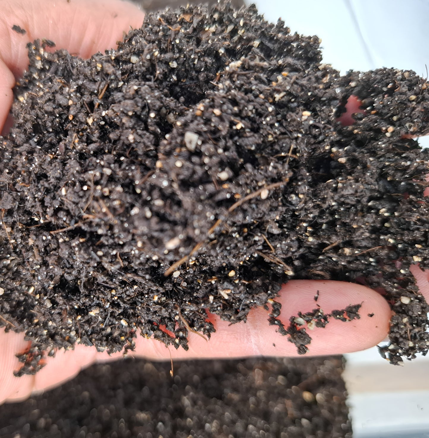 WORM CASTINGS for Hermit Crabs with Oyster Shells and Azomite.