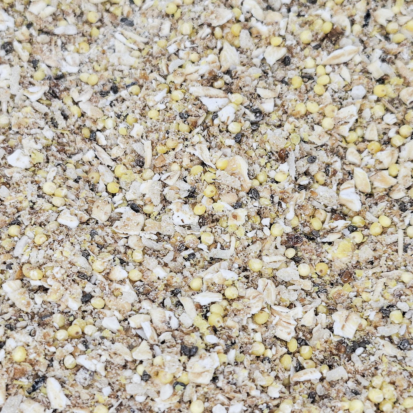 Hermit Crab Food COMPLETE with  Mealworms, Oyster Shells, Forage.
